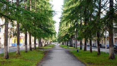 Аллея по улице Мира Североуральск