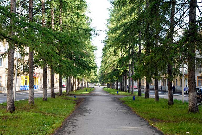 Аллея по улице Мира Североуральск